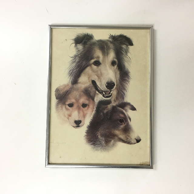 ARTWORK, Portrait Dog (Small) - Collies